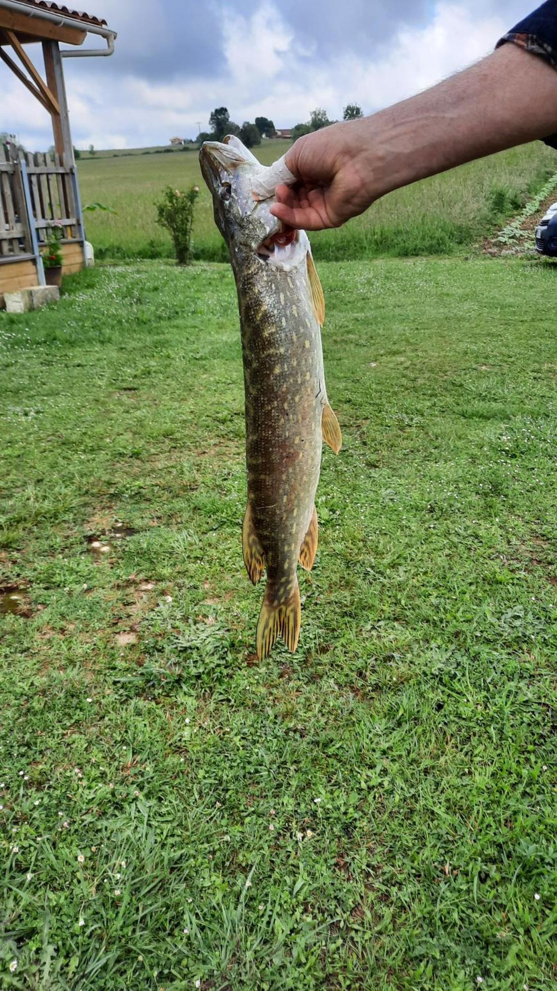ホテル Etang Pre De La Font Cercles エクステリア 写真